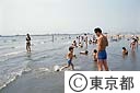 渚で遊ぶ親子