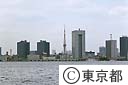 海から見た東京タワーとビル
