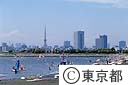 ウインドサーフィンと東京タワーとビル群