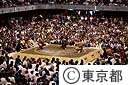 東京武道館で行われた大相撲