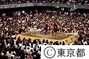 東京武道館で行われた大相撲