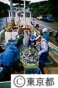 タカベの水揚げ