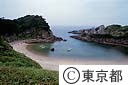 泊港