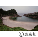 泊港