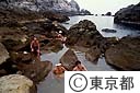 海中温泉に入浴する人達