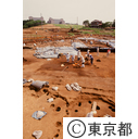 多摩ニュータウンの遺跡発掘現場