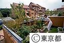 多摩ニュータウンで庭の花の手入れをする女性