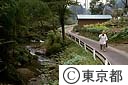 小曽木街道沿の清流