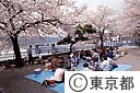 花見の客