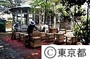 養蜂