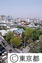 養蜂をしている家（江戸っ子ハチミツ）
