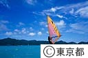 大村海岸でウィンドサーフィンをする女性