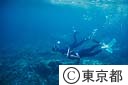 宮の浜で　スキンダイビングを楽しむ人たち