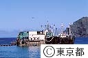 東港の捕鯨基地