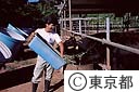 畜産指導所の牛と職員