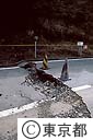 三原山登山道路に、噴火の影響でできた段差