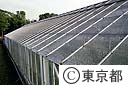 農家の温室に積った降灰