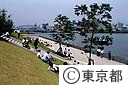 新川のテラス堤防