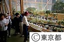 花博の江戸東京館で行なわれた展示、めずらしい植木の展示