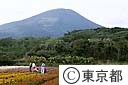 八丈富士とフリージヤ畑