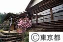 網代温泉
