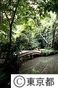 実篤公園