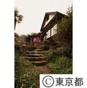 網代温泉