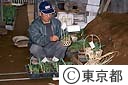 春の七草かご作り
