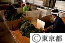 レザーファンの箱づめ作業