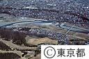 羽村ぜきと多摩川