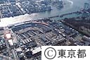中央卸売市場