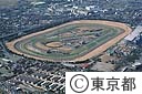 東京競馬場