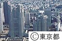 都庁舎