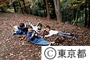 高尾で、落ち葉とたわむれる子供たち