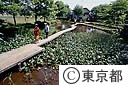 片倉城跡公園