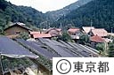 シクラメンの避暑