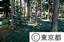 広園寺境内