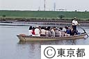 矢切の渡し
