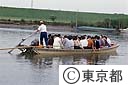 矢切の渡し