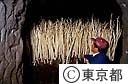 うどの室栽培