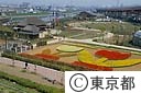 チューリップの足立都市農業公園