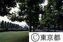 新宿御苑