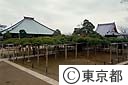 影向の松