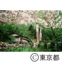 水源林地区の農家
