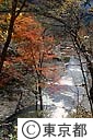 日原川の紅葉