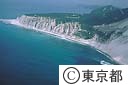 羽伏浦（白土２層断崖）（空撮）