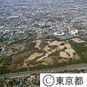 砧公園