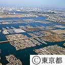 新木場貯木場（空撮）