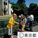 上野動物園のシルバーボランティア