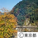 紅葉の御岳渓谷